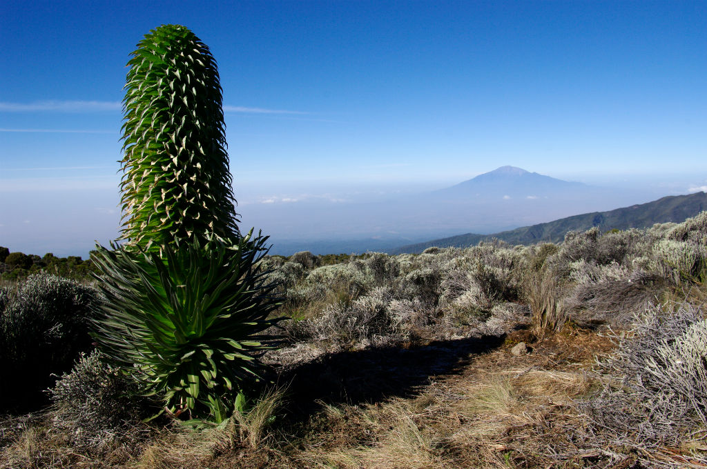 Mount Meru